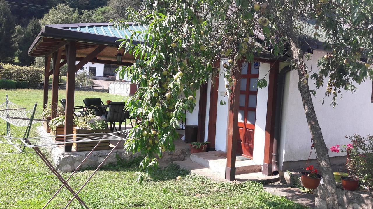 Apartmani Jovanovic 페루사스 외부 사진